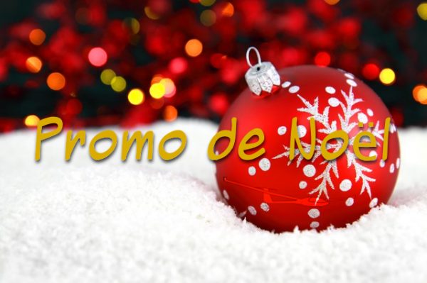 Promotion de Noël - 10% sur nos vols découvertes et nos formules